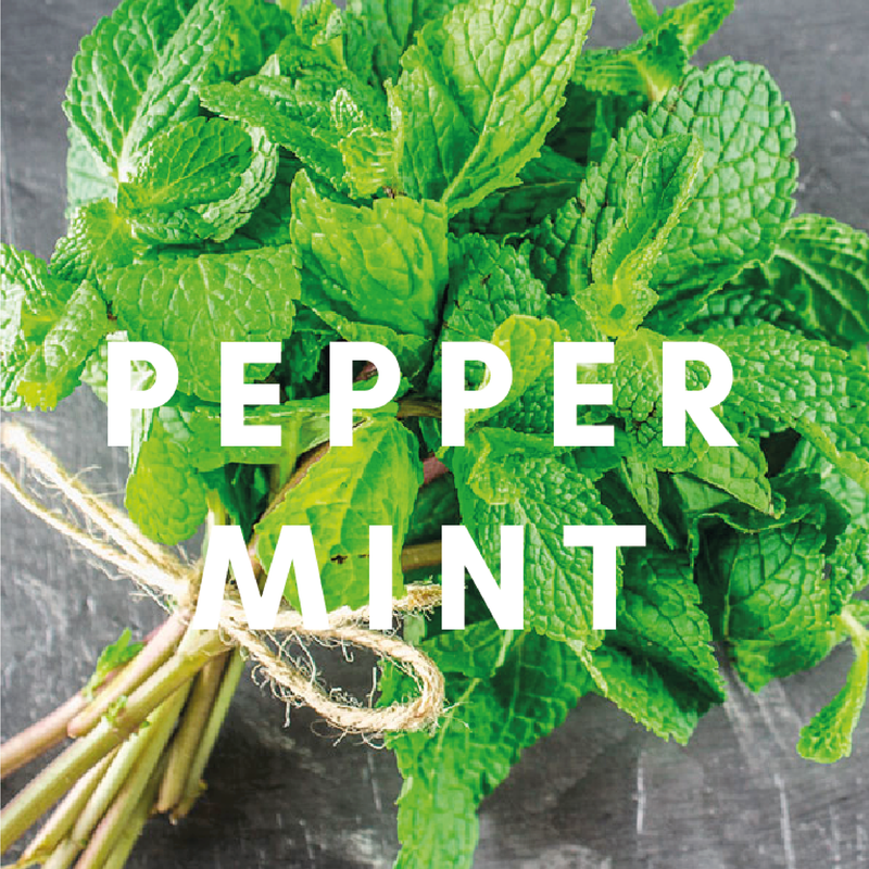 NEW Peppermint Flavour Recipe E-liquid. Available in Three Flavour Strengths