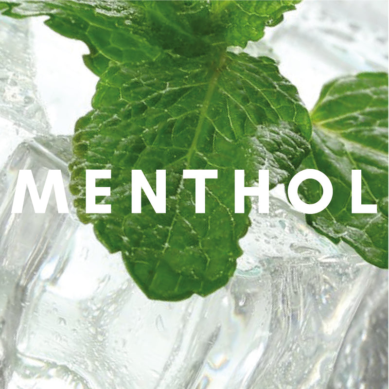 Green leaves placed on top of ice cubes with the word menthol written across the image