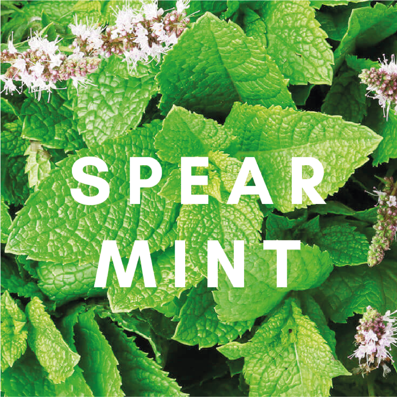 Spearmint Flavour E-Liquid. Available in Three Flavour Strengths